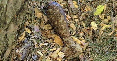 Grzybiarze znaleźli w lesie pocisk moździerzowy